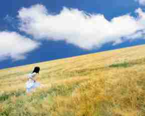 脚﻿本​自​动‌生﻿成‍器‍